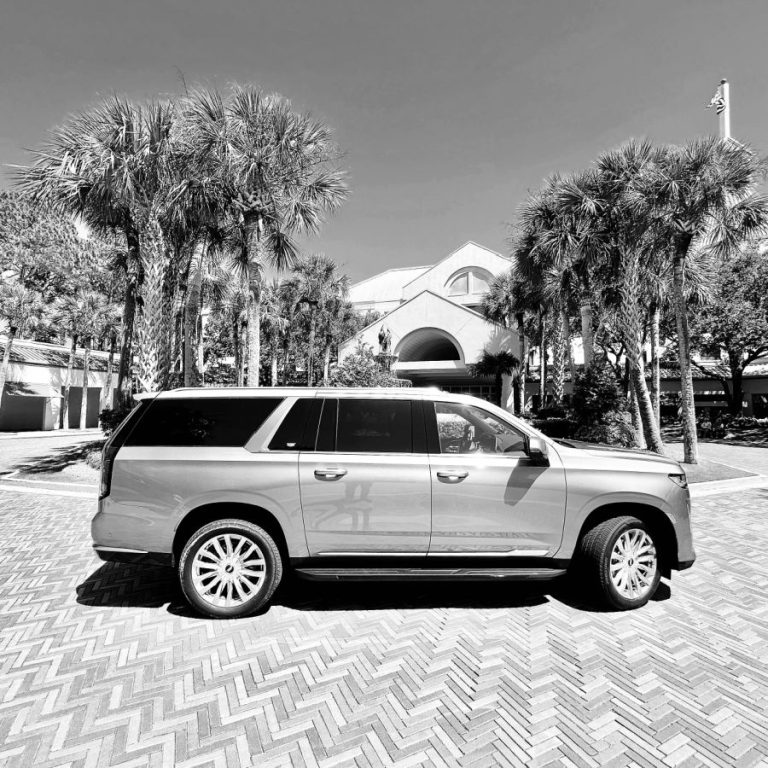 Platinum Executive Coaches - Platinum Executive Coaches
